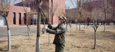 &#33521;&#30343;&#20307;&#32946;&#40;&#20013;&#22269;&#41;&#20307;&#32946;&#23448;&#26041;&#32593;&#31449;