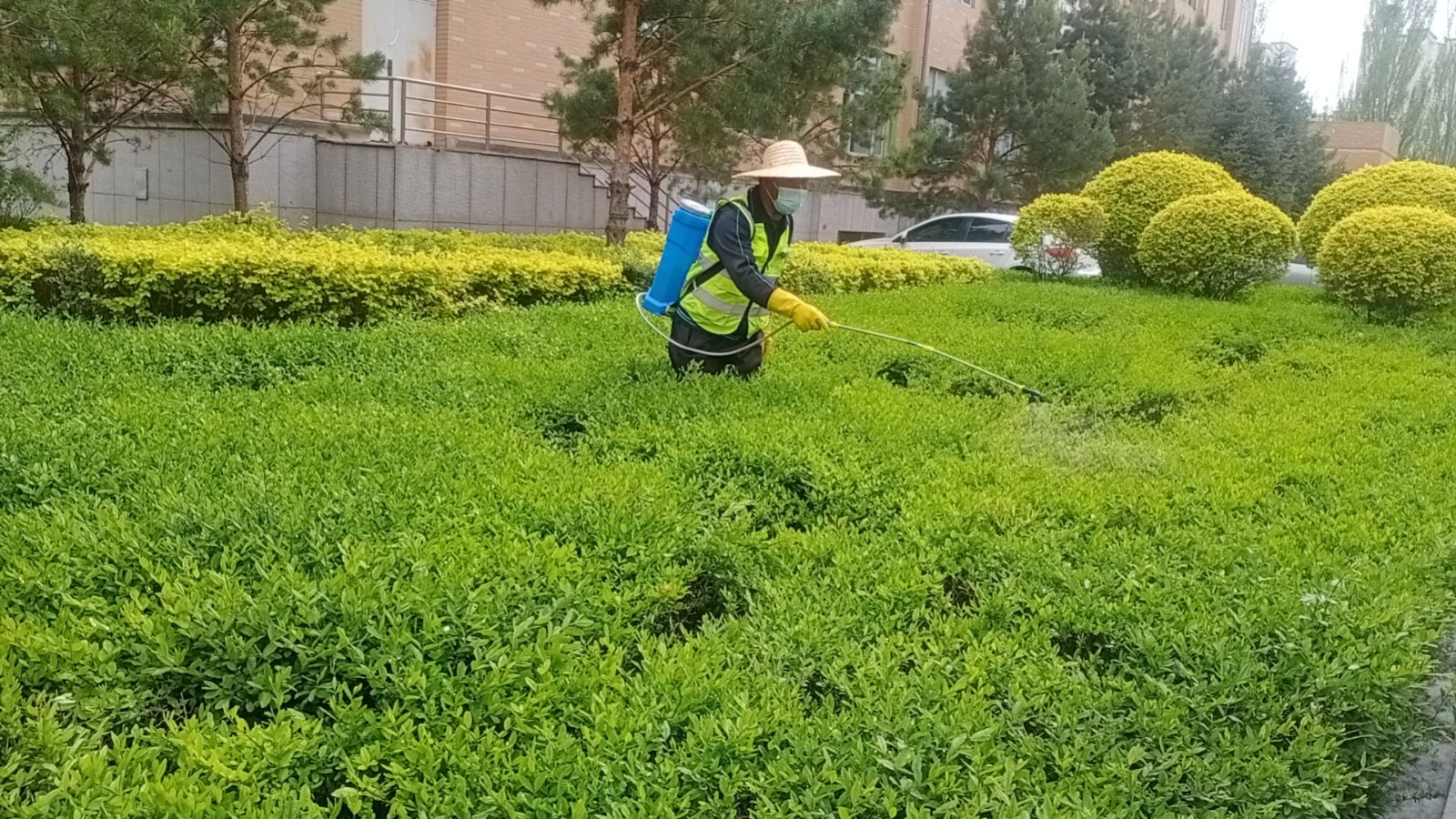 &#33521;&#30343;&#20307;&#32946;&#40;&#20013;&#22269;&#41;&#20307;&#32946;&#23448;&#26041;&#32593;&#31449;